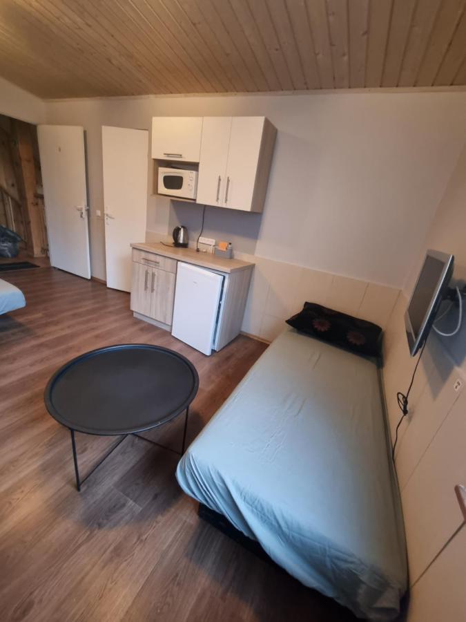 Apartamento Apartamentai Sinagogos 9 *