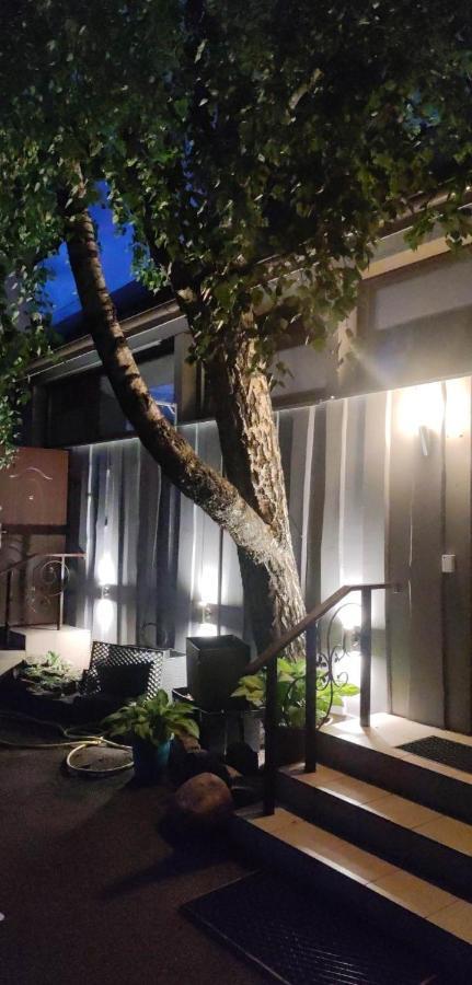 Apartamentai Sinagogos 9